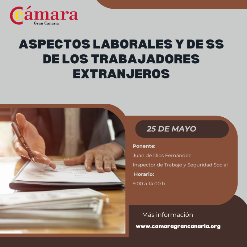 ASPECTOS LABORALES Y DE SS DE LOS TRABAJADORES EXTRANJEROS