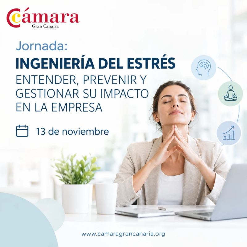 JORNADA. INGENIERÍA DEL ESTRÉS: ENTENDER, PREVENIR Y GESTIONAR SU IMPACTO EN LA EMPRESA