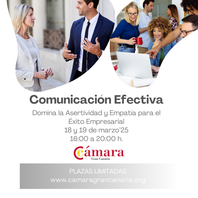 Comunicación Efectiva: Domina la Asertividad y Empatía
