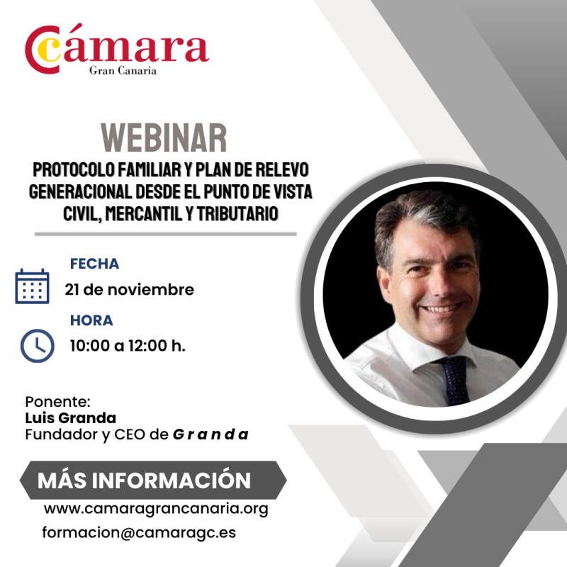 PROTOCOLO FAMILIAR Y PLAN DE RELEVO GENERACIONAL DESDE EL PUNTO DE VISTA CIVIL, MERCANTIL Y TRIBUTARIO