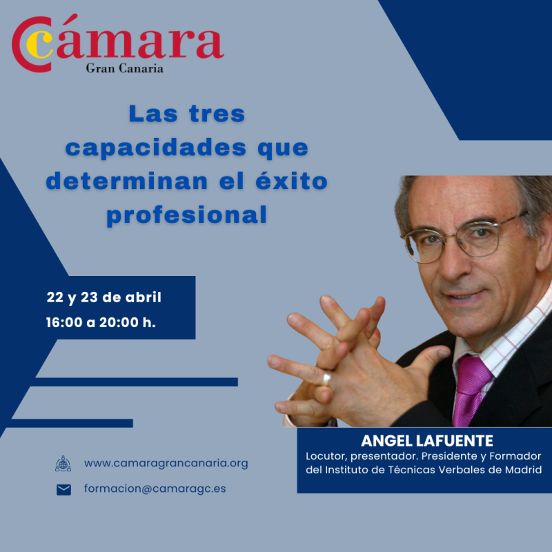 LAS TRES CAPACIDADES QUE DETERMINAN EL ÉXITO PROFESIONAL