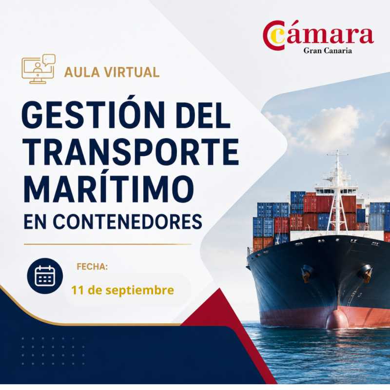 AULA VIRTUAL: GESTIÓN DEL TRANSPORTE MARÍTIMO EN CONTENEDORES