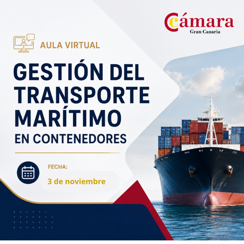 AULA VIRTUAL: GESTIÓN DEL TRANSPORTE MARÍTIMO EN CONTENEDORES