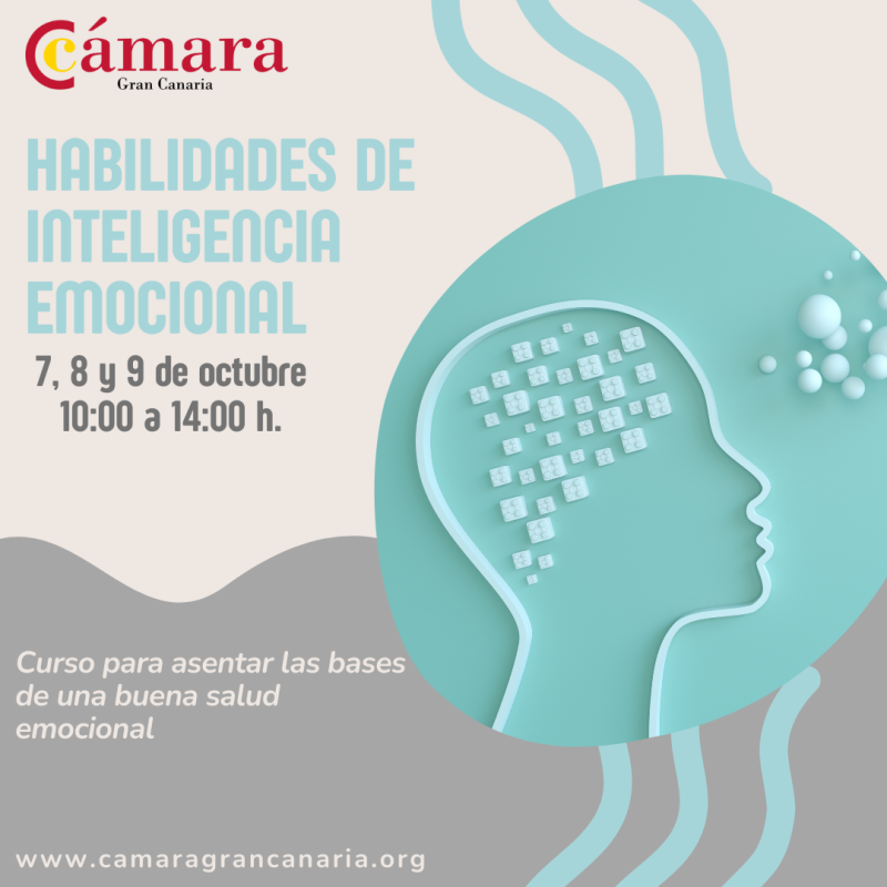 HABILIDADES DE INTELIGENCIA EMOCIONAL