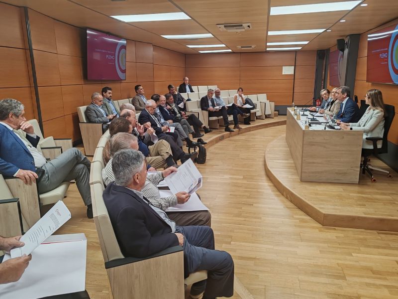 La Cámara manifiesta su preocupación ante la posible anulación del Plan Insular de Ordenación de Gran Canaria