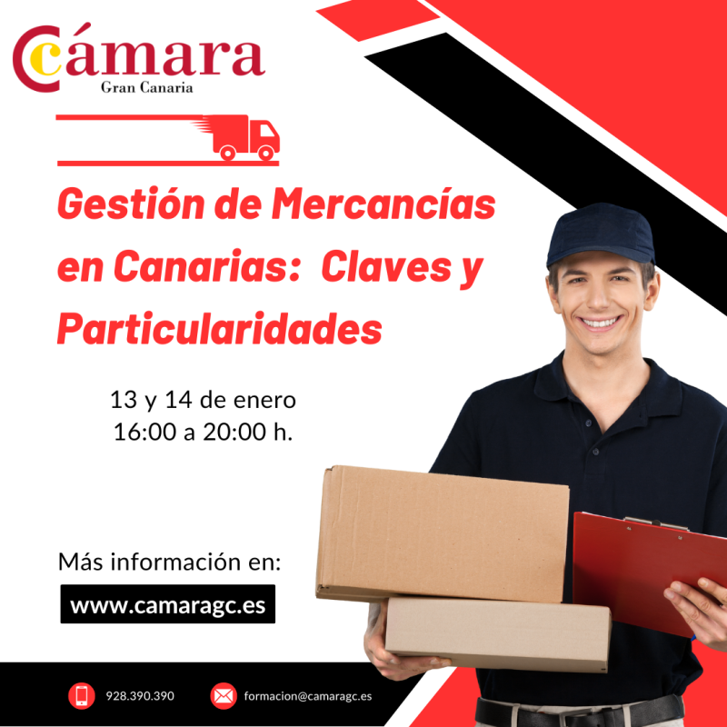 GESTIÓN DE MOVIMIENTO DE MERCANCÍAS EN CANARIAS: CLAVES Y PARTICULARIDADES