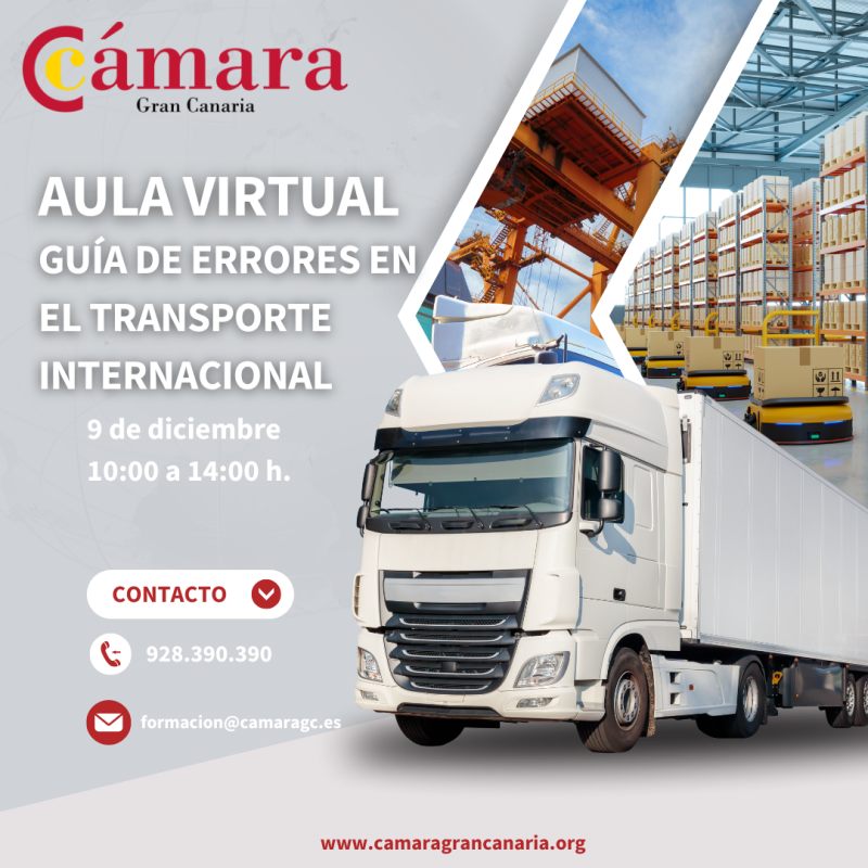 AULA VIRTUAL: ESTUDIO-GUÍA DE ERRORE EN EL TRANSPORTE INTERNACIONAL