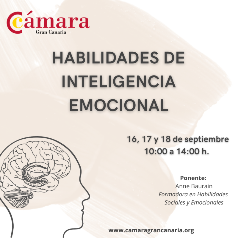 HABILIDADES DE INTELIGENCIA EMOCIONAL
