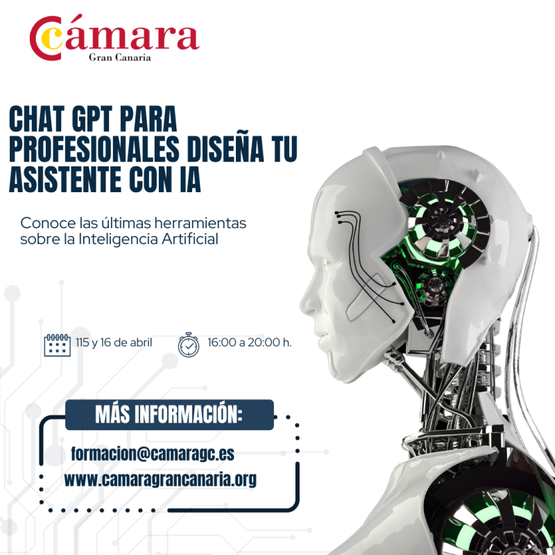 CHAT GPT PARA PROFESIONALES: DISEÑA TU ASISTENTE CON IA