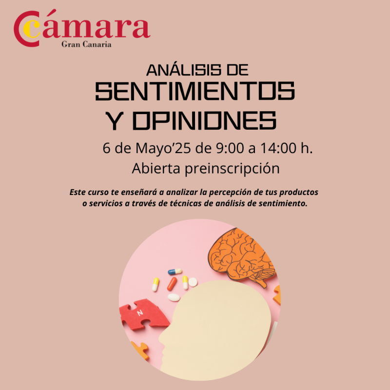Análisis de Sentimientos y Opiniones