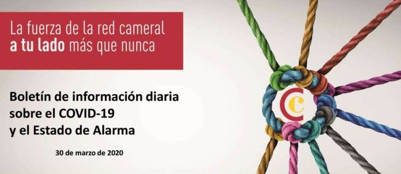 Boletín de Información diaria sobre el COVID-19 y el Estado de Alarma 30/03/2020