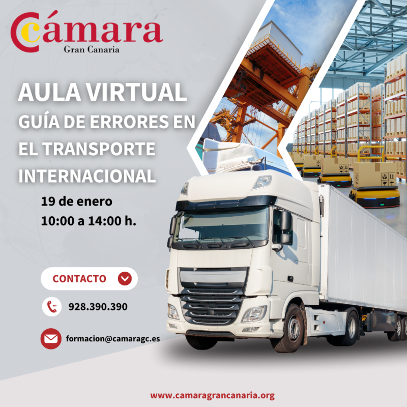 AULA VIRTUAL: ESTUDIO-GUÍA DE ERRORES EN EL TRANSPORTE INTERNACIONAL