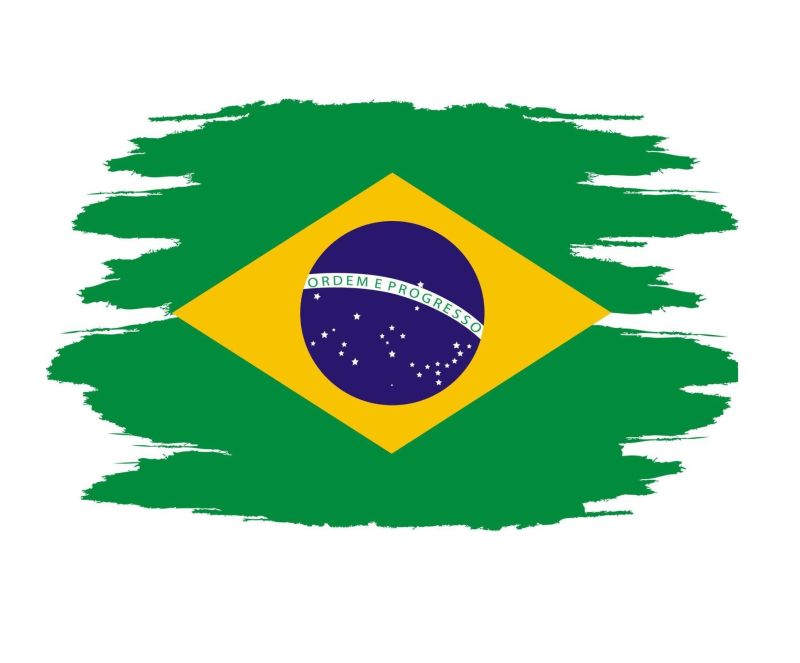 Jornada Informativa sobre Mercados Exteriores: oportunidades de negocio en Brasil