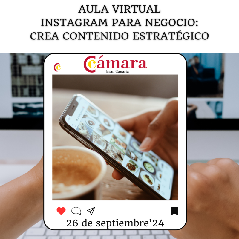 AULA VIRTUAL. INSTAGRAM PARA NEGOCIO: CREA CONTENIDO ESTRATÉGICO