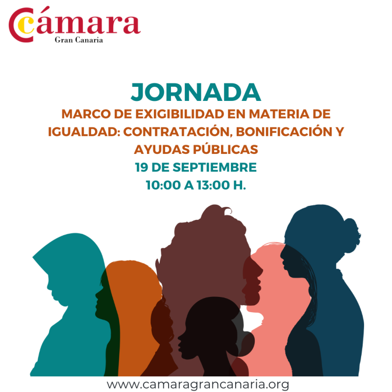 JORNADA DE IGUALDAD. MARCO DE EXIGIBILIDAD EN MATERIA DE IGUALDAD: CONTRATACIÓN, BONIFICACIÓN Y AYUDAS PÚBLICAS.